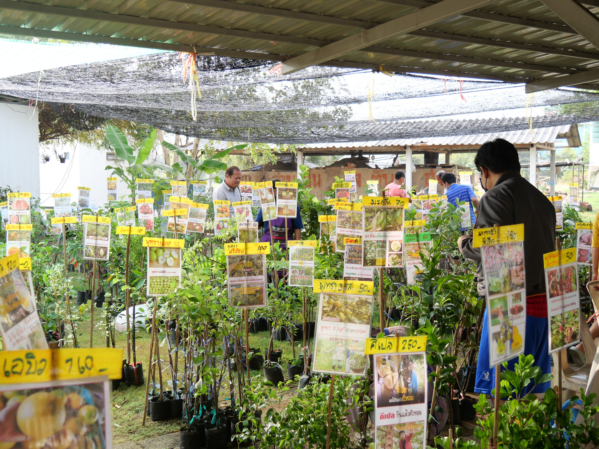 ตามรอยเจ้าฟ้านักอนุรักษ์ เที่ยวงานมหกรรมทรัพย์ดิน สินน้ำ1– 3 เม.ย. นี้ ที่พิพิธภัณฑ์การเกษตรฯ ปทุมธานี พร้อมรับฟังการถ่ายทอดองค์ความรู้ด้านการเกษตร 2 news photo a366c5e08880050df40b308eb09d2606