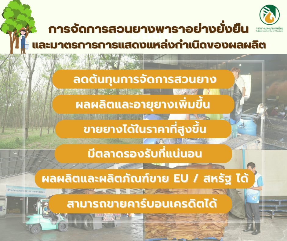 กยท. อบรม ครูยางอาสา กว่า 3 พันคน ทั่วประเทศ