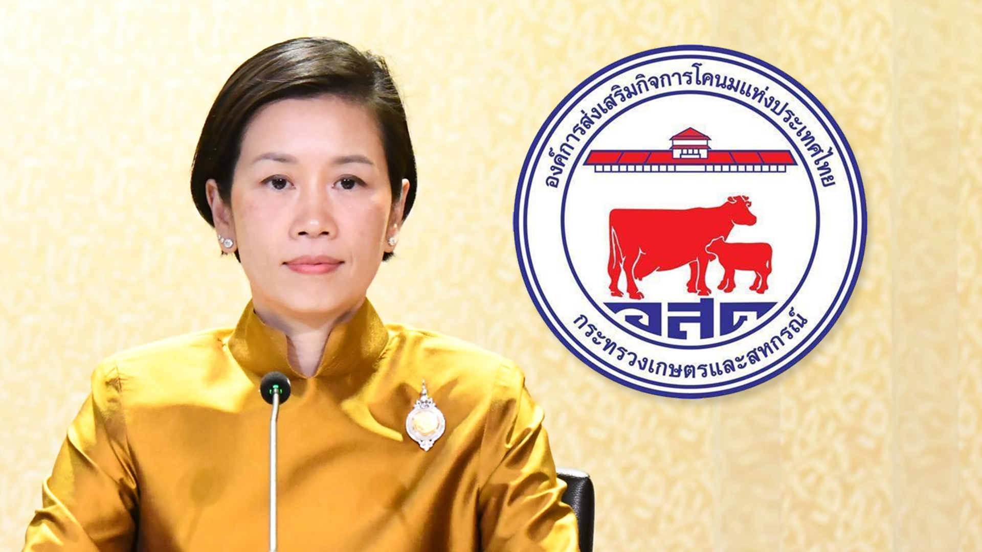 ขาด2