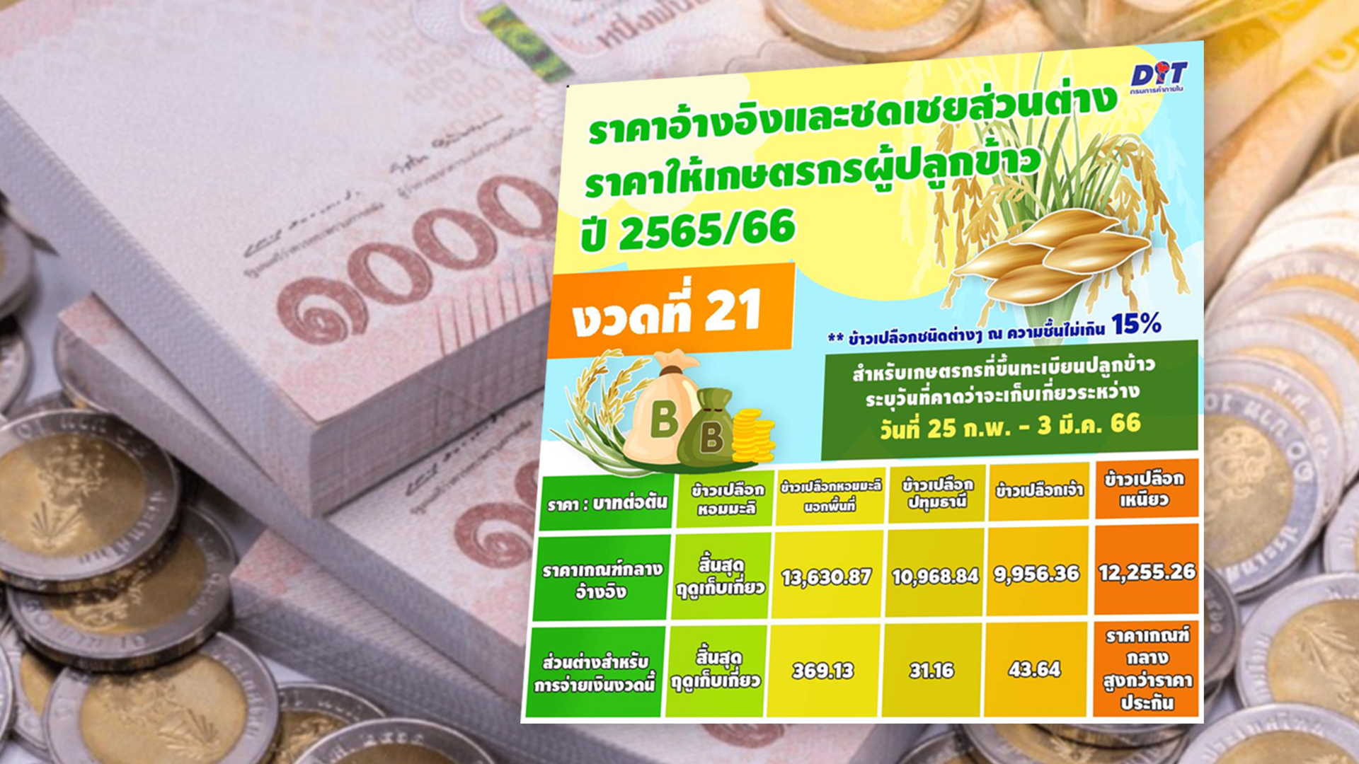 ข้าว2