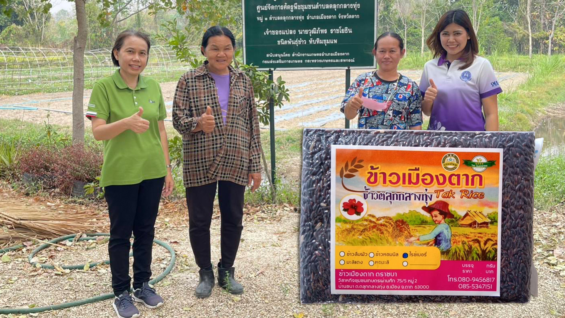 ข้าวตลุก3