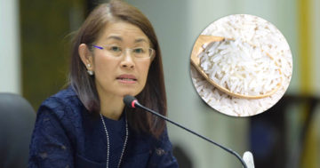 ข้าวหอมมะลิปลอม3