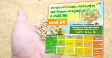 ชดเชย3