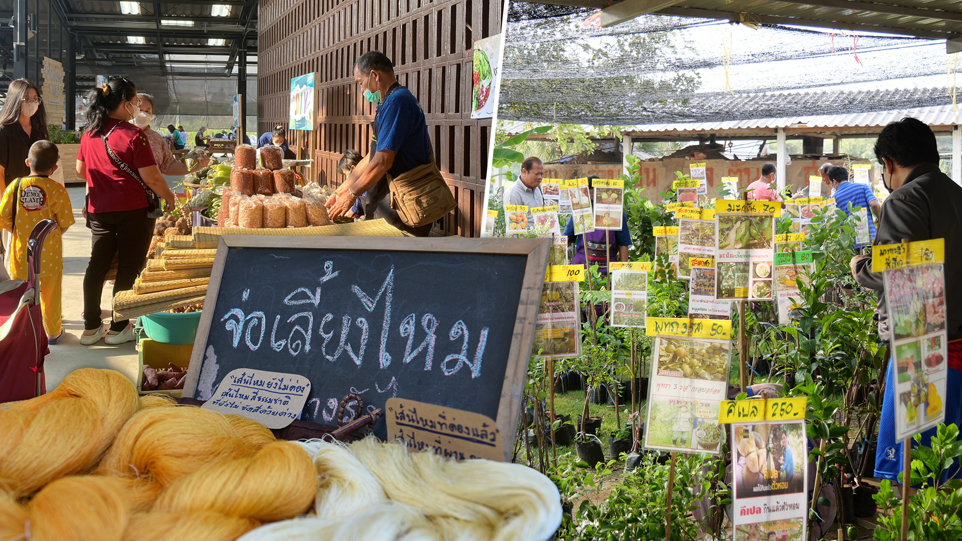 ตามรอยเจ้าฟ้านักอนุรักษ์ เที่ยวงานมหกรรมทรัพย์ดิน สินน้ำ1– 3 เม.ย. นี้ ที่พิพิธภัณฑ์การเกษตรฯ ปทุมธานี พร้อมรับฟังการถ่ายทอดองค์ความรู้ด้านการเกษตร 1 มหกรรม3