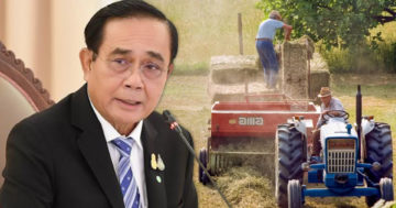 แรงงานไทย3
