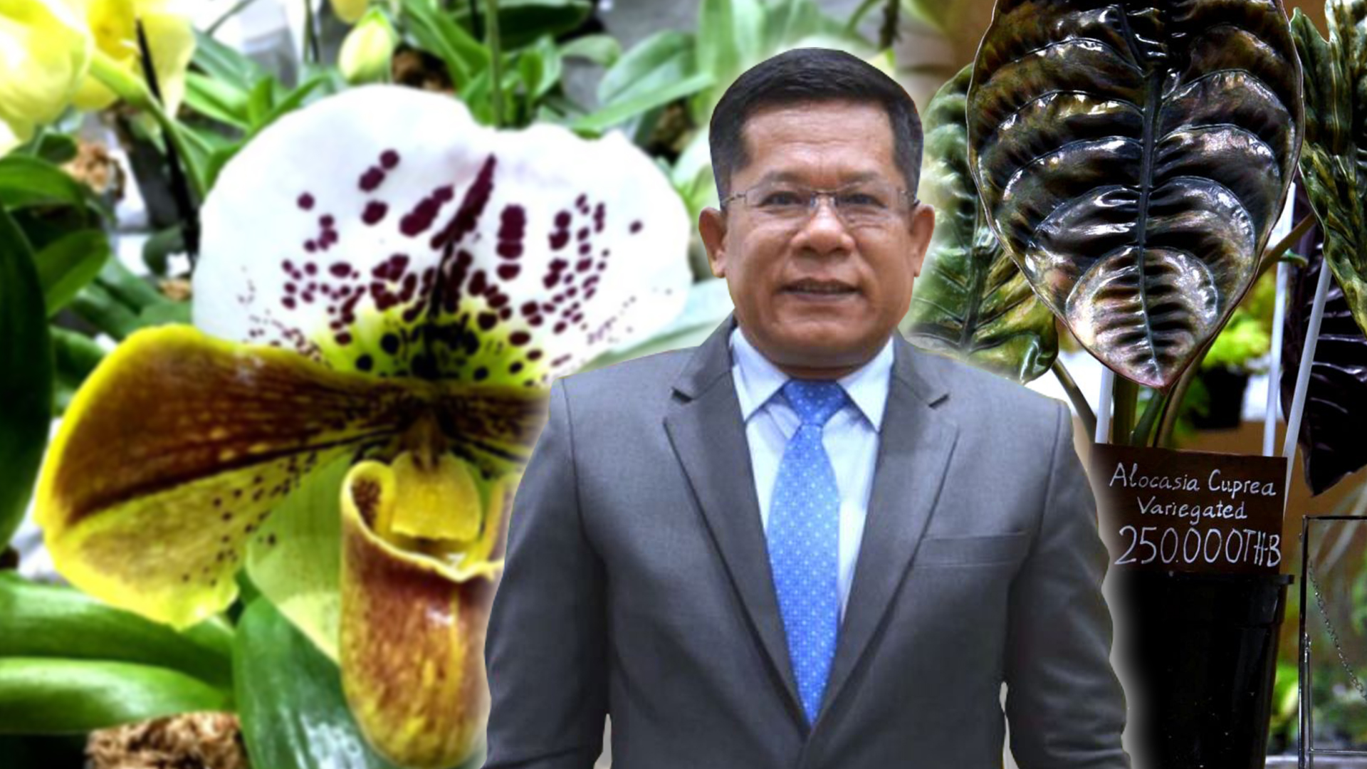 ไม้แปลก3