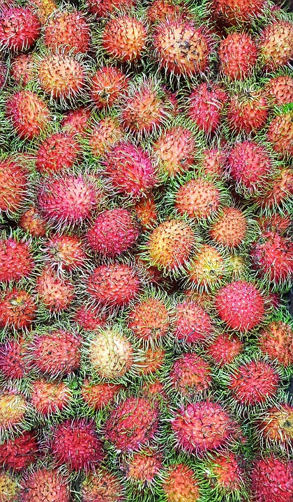 rambutan 3403757 960 720