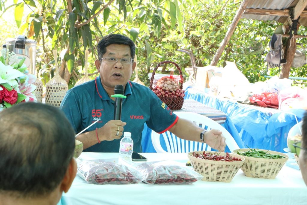 พริก337707029 743977587178498 7335899554878992808 n 1024x683 Mqep5I