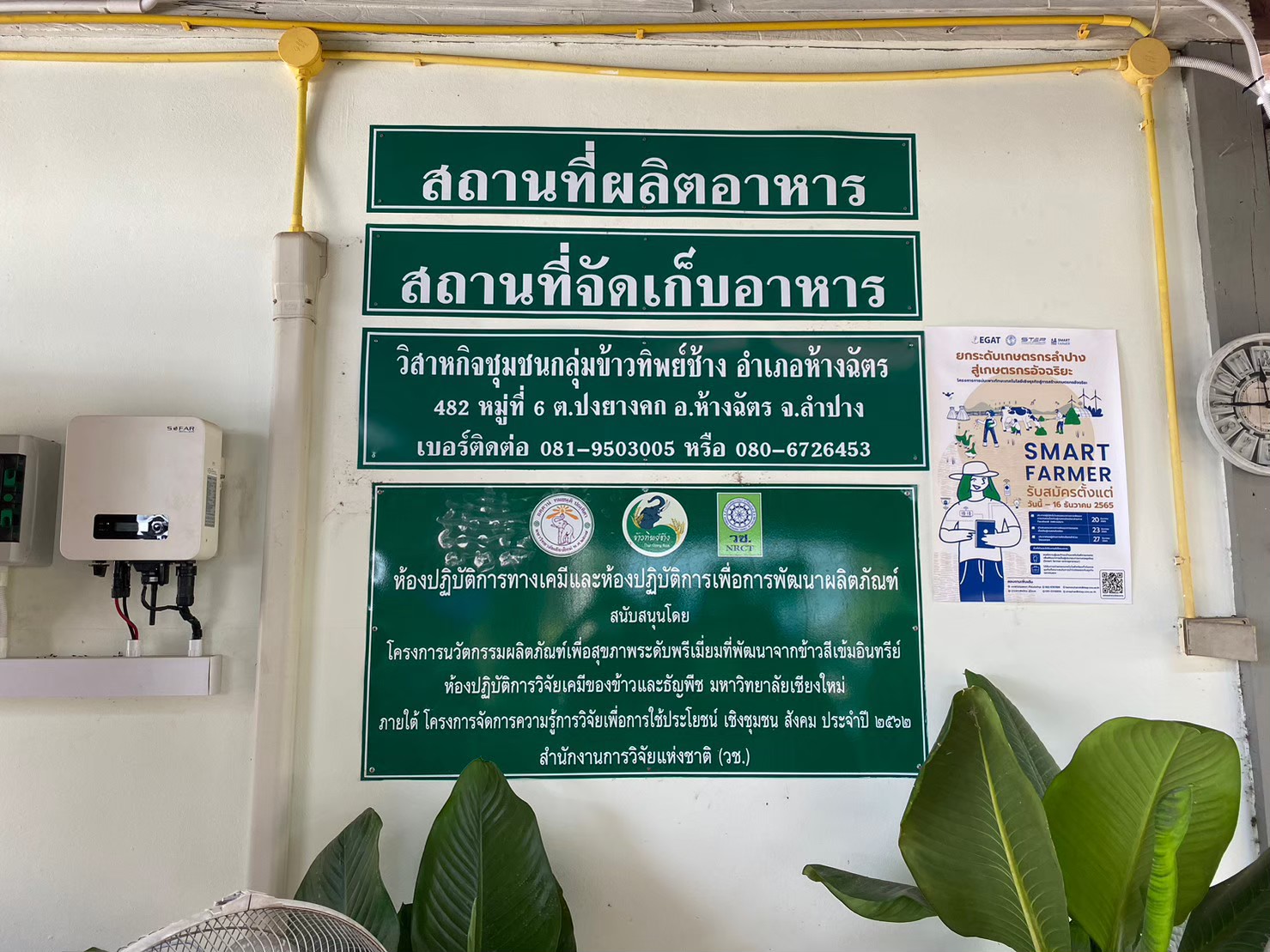 วิสา343074117 890784508680119 7906700868956168514 n