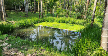 เขตรักษาพันธุ์สัตว์ป่า3