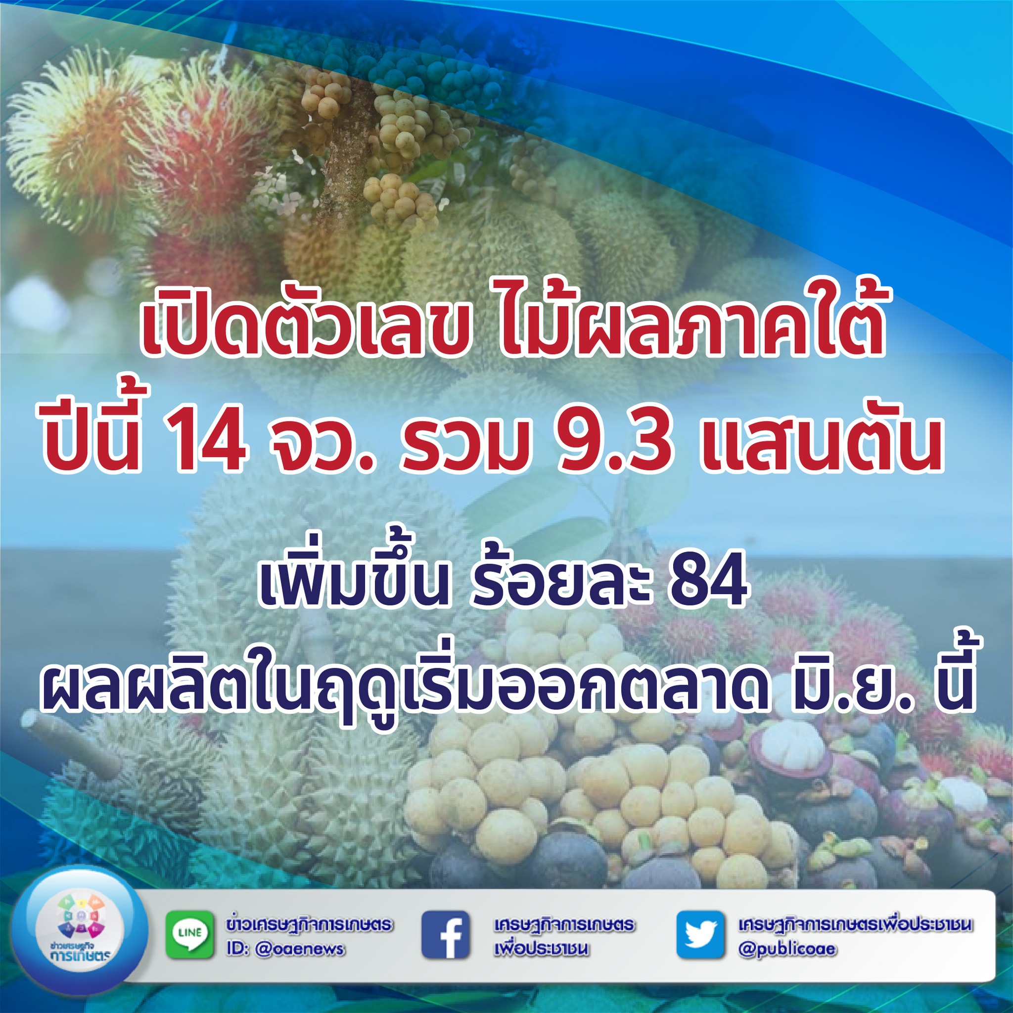 ไม้ผลล343314319 782005903450128 522873473567821575 n