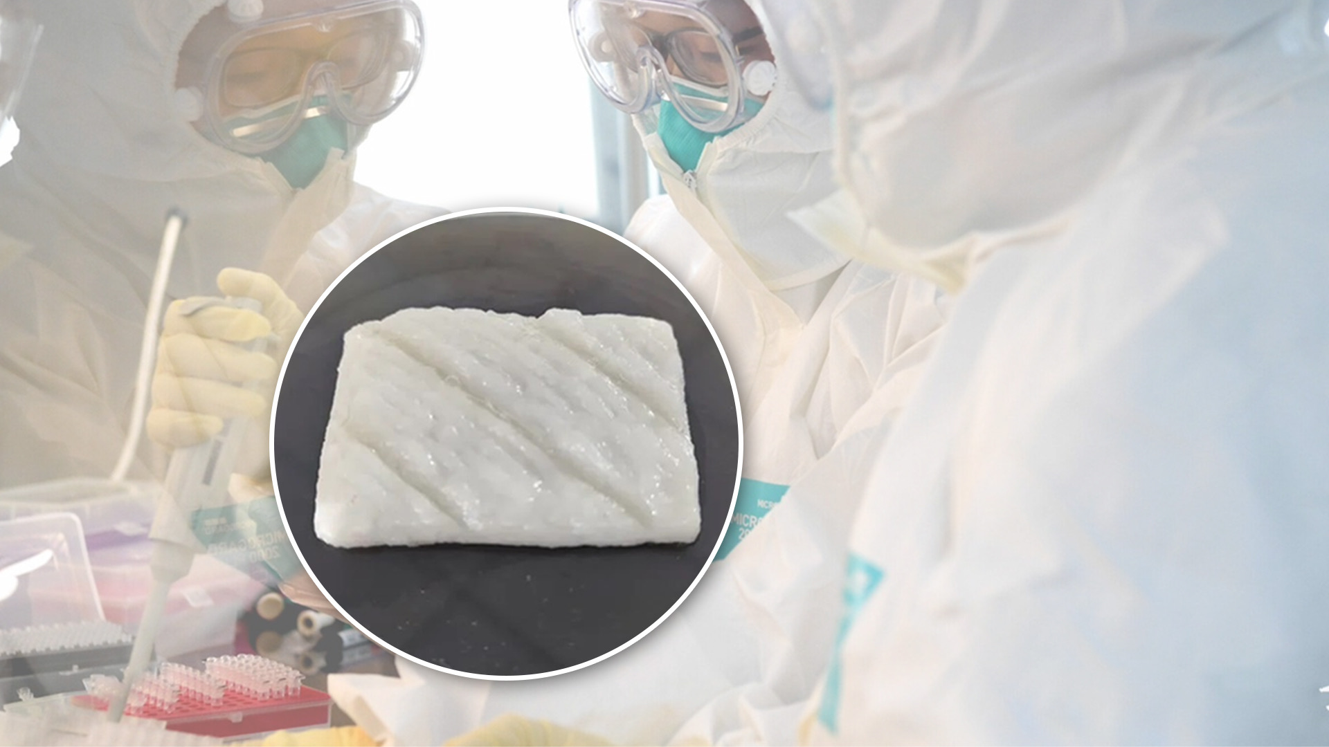 นักวิทย์จีนพัฒนา ‘เนื้อปลา’ เพาะจากแล็บ นุ่มเด้งคล้ายของจริง 1 IMG 3793