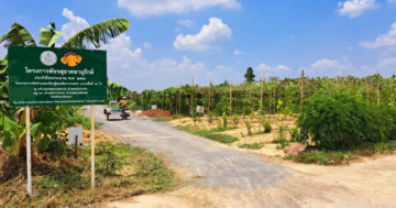 กสก3