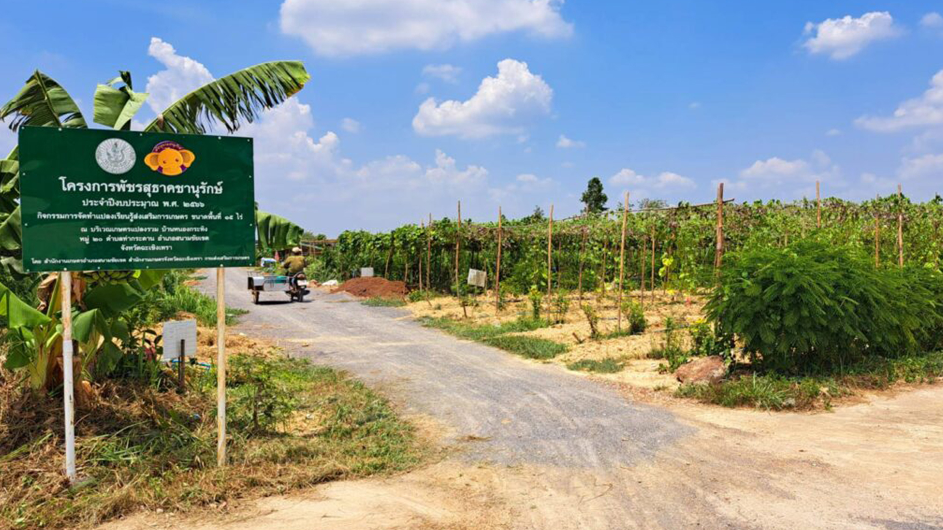 กสก3