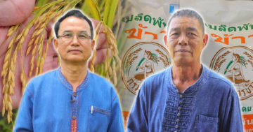 ข้าว 11