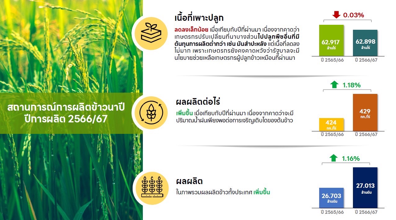 ข้าว 2