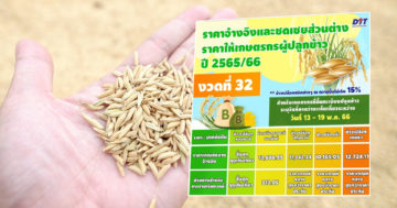 ข้าว 7