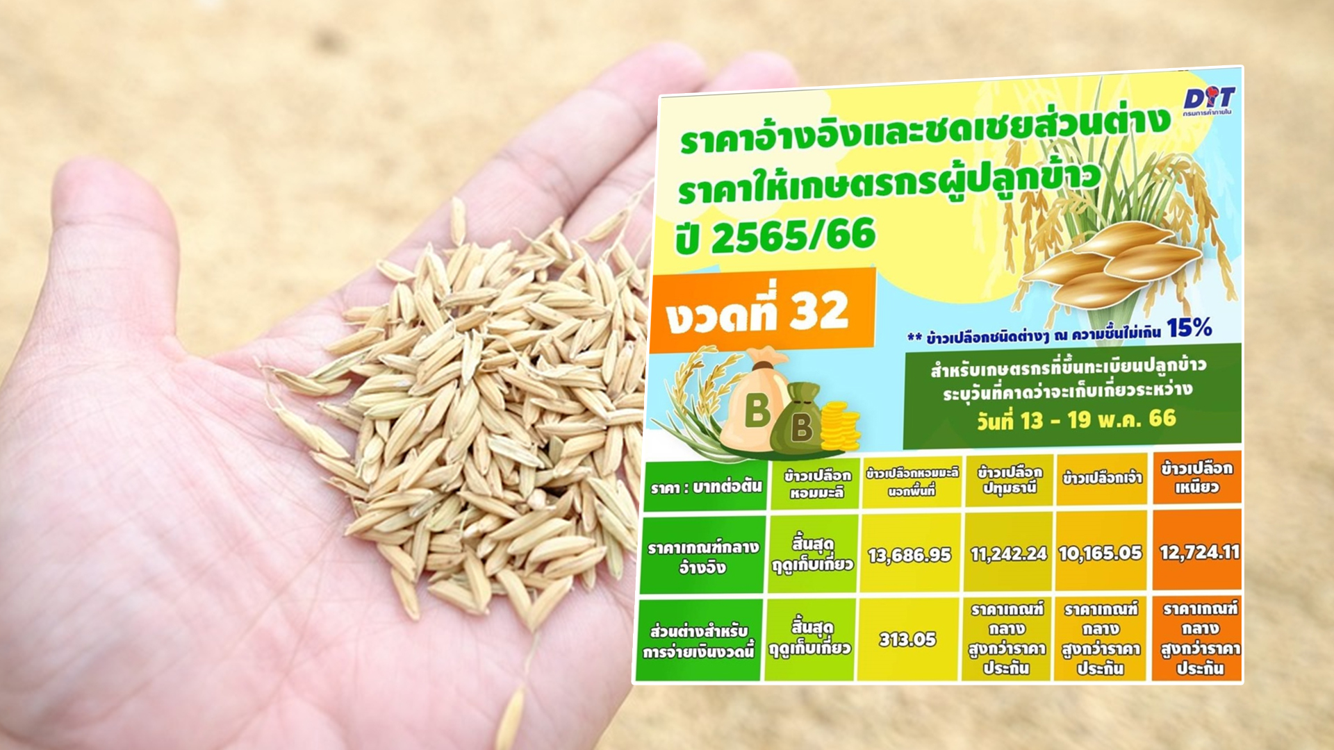 ข้าว 7