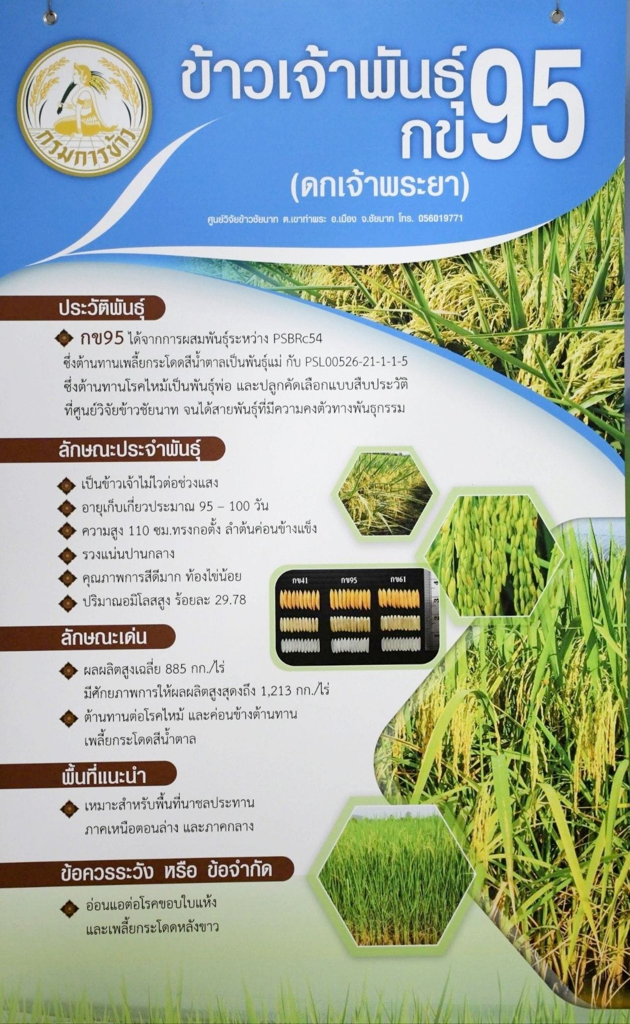 ข้าว กขค