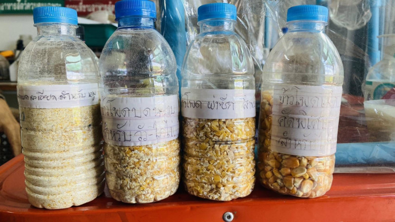 ข้าวโพด 2 1