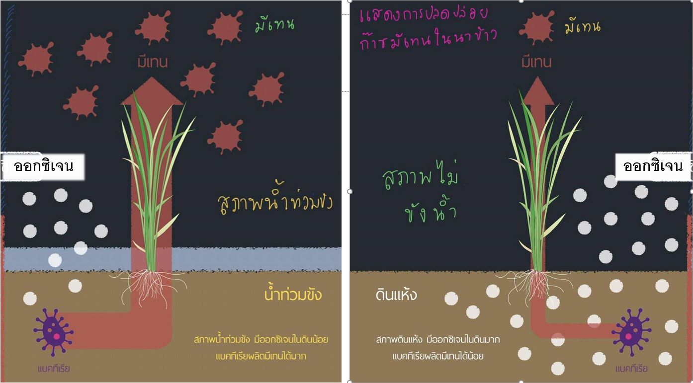 คาร์ 4