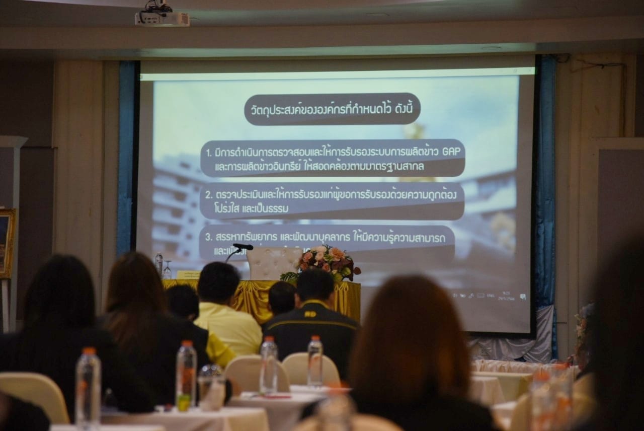 ติวข้าว 7