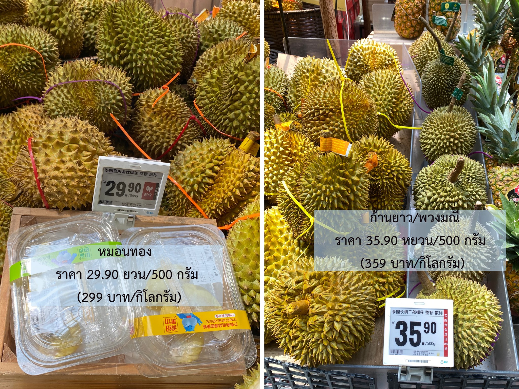ทุเรียน 2 1