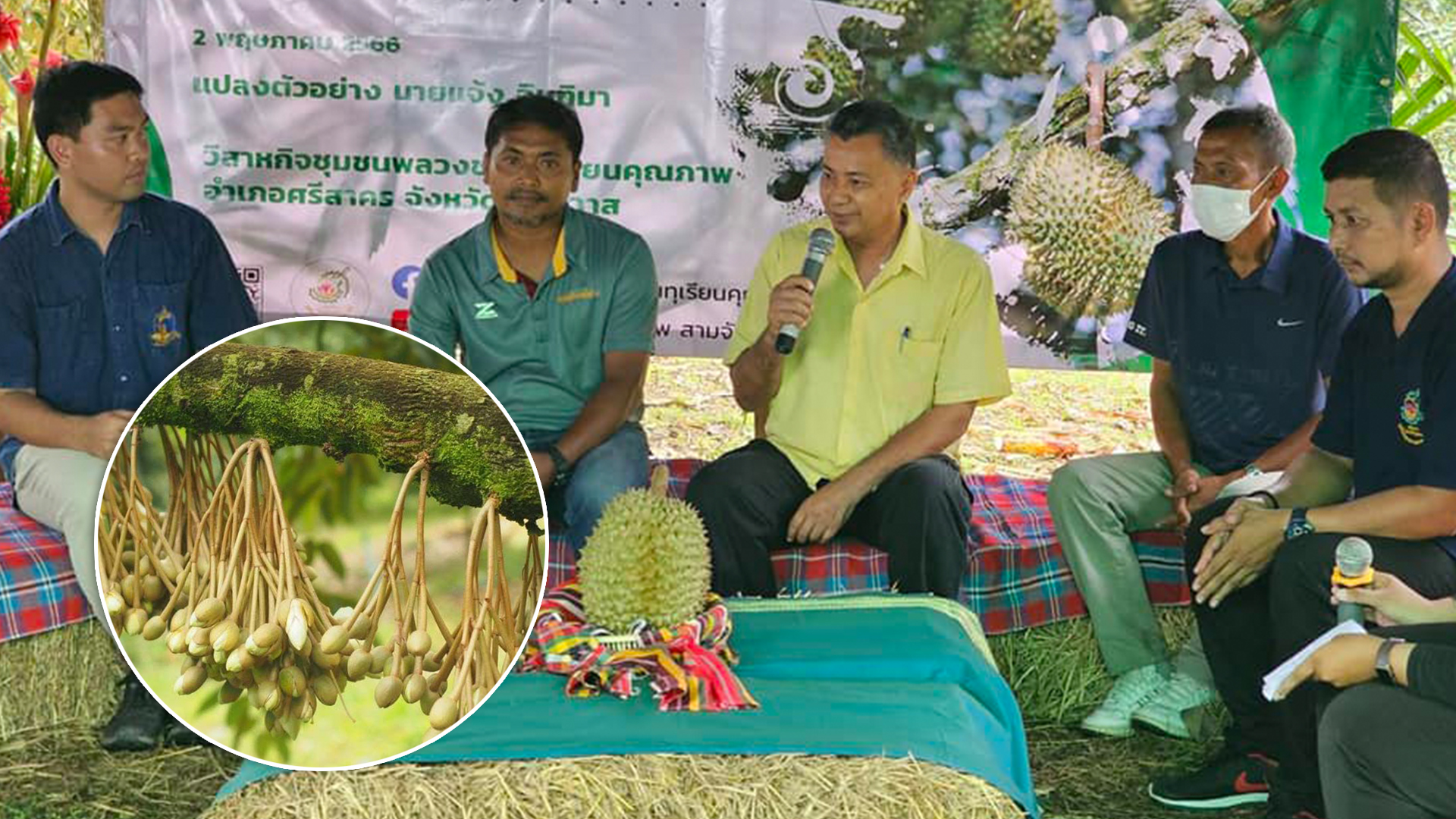 ทุเรียน3