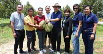 ทุเรียนระยอง3