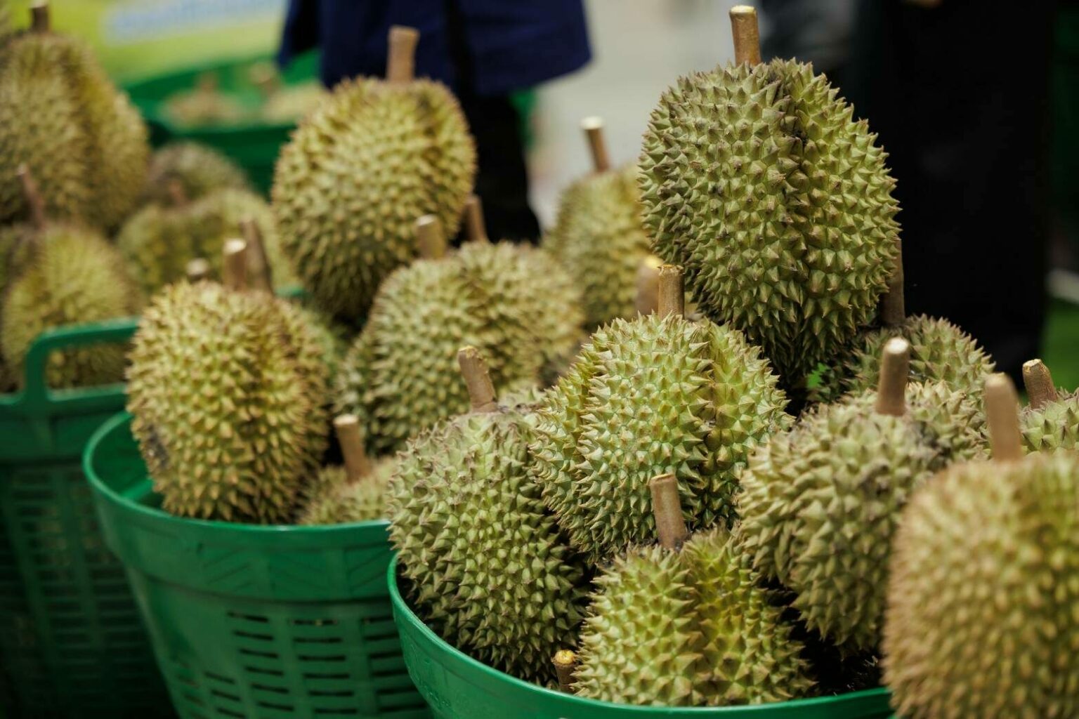 ทุเรียนเทคโนโลยี