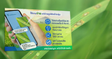 บอท3
