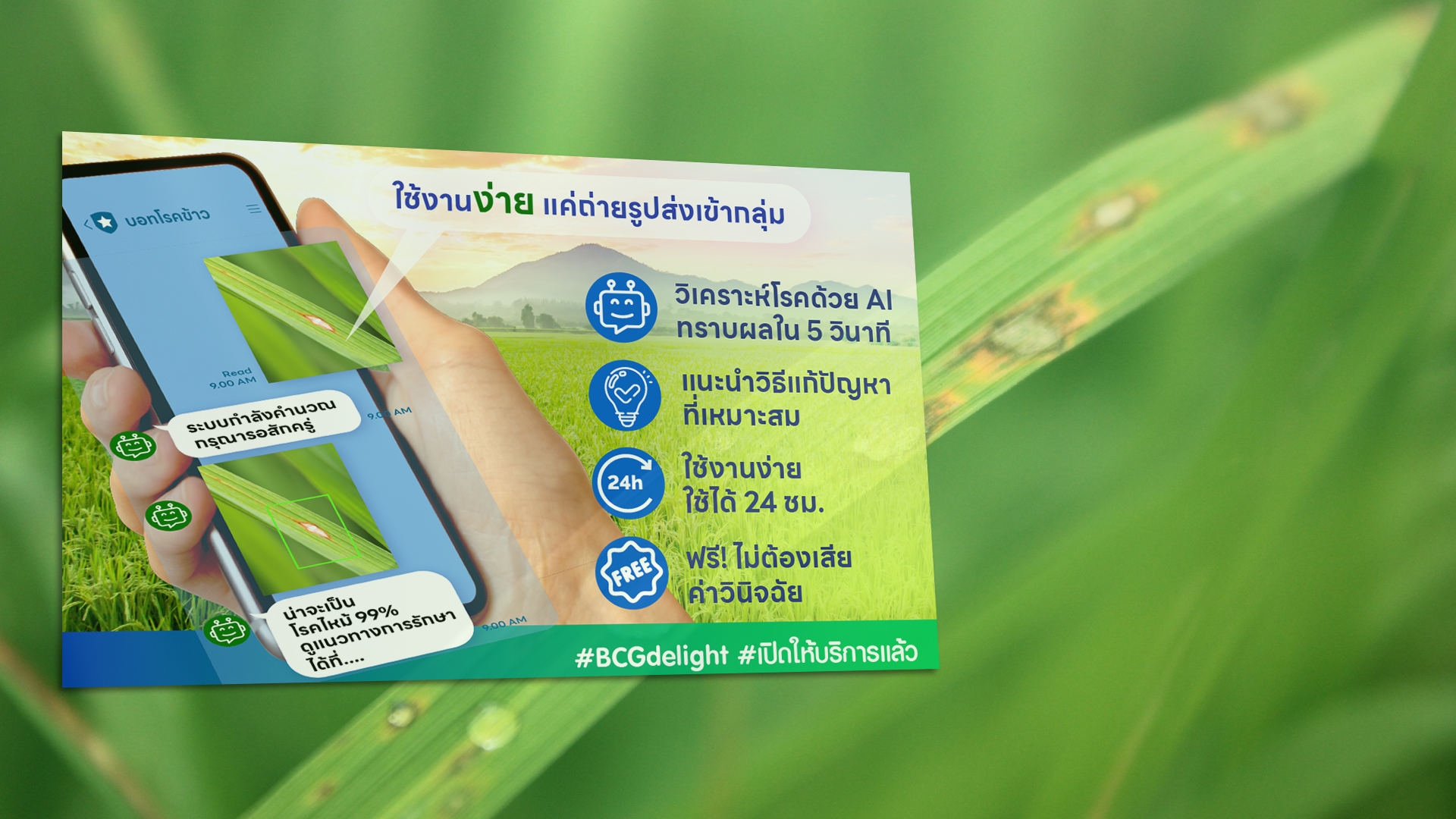 บอท3