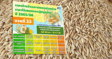 ประกันรายได้3 1