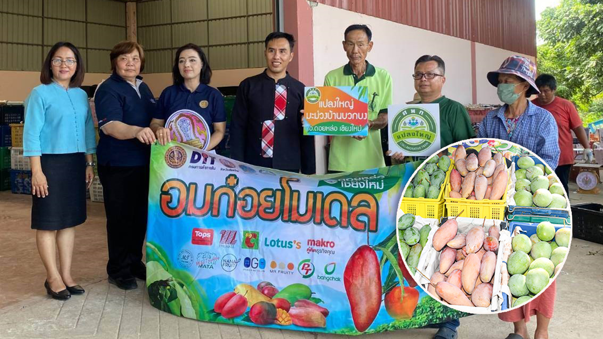 มะม่วงแฟนซี3