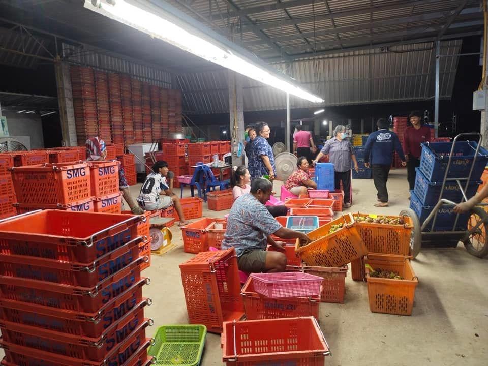 สิทธิศักดิ์ 1