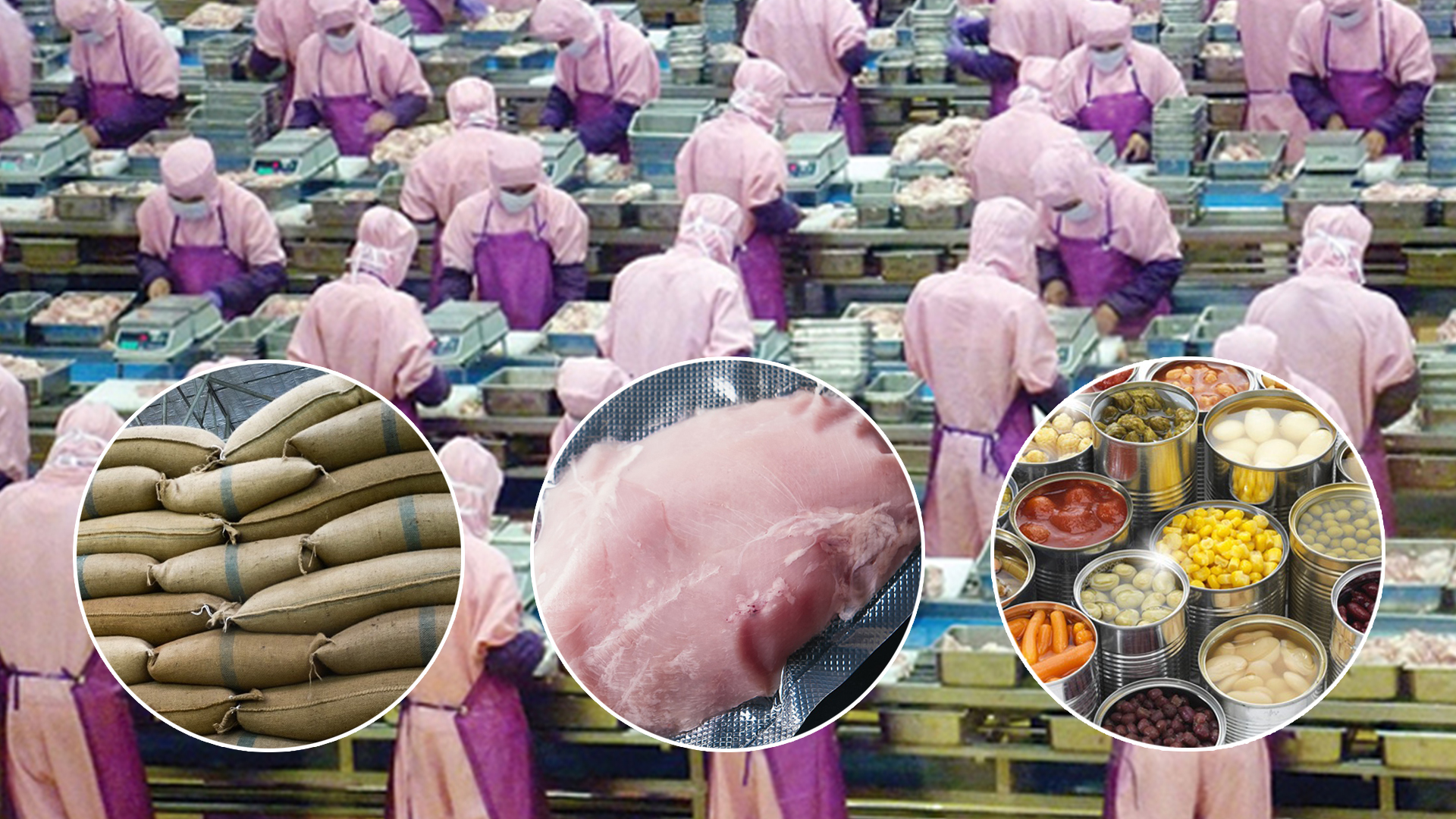 ส่งออกสินค้าเกษตร3