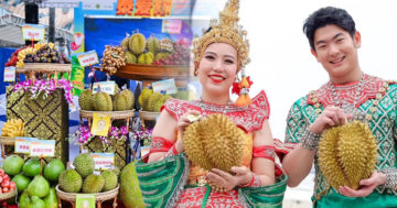 เกษตร23