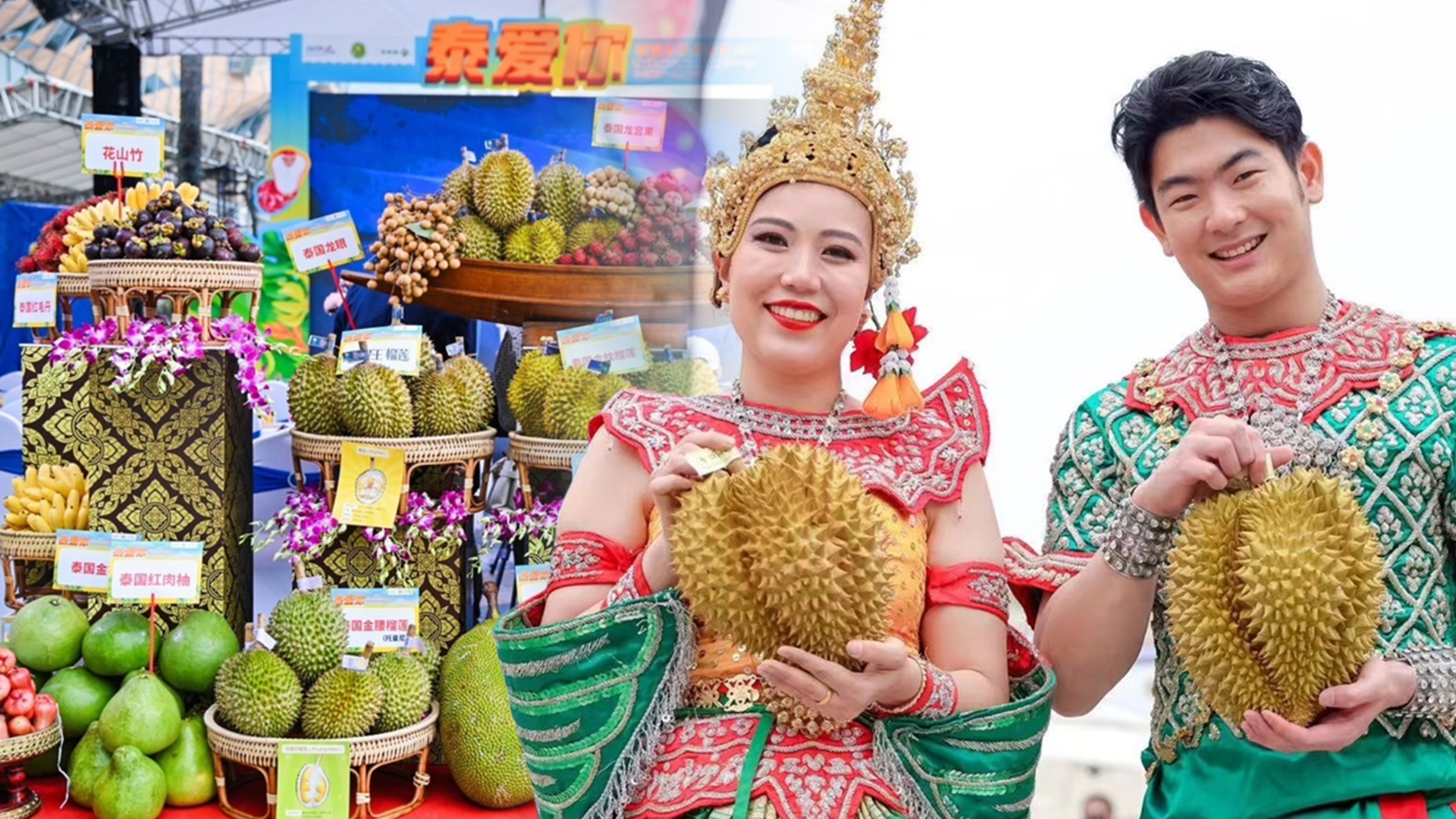เกษตร23