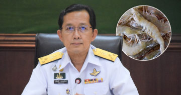เกษตรกรกุ้ง3
