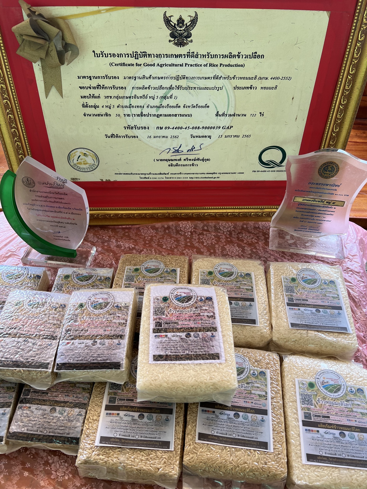 แปลงใหญ่ 2