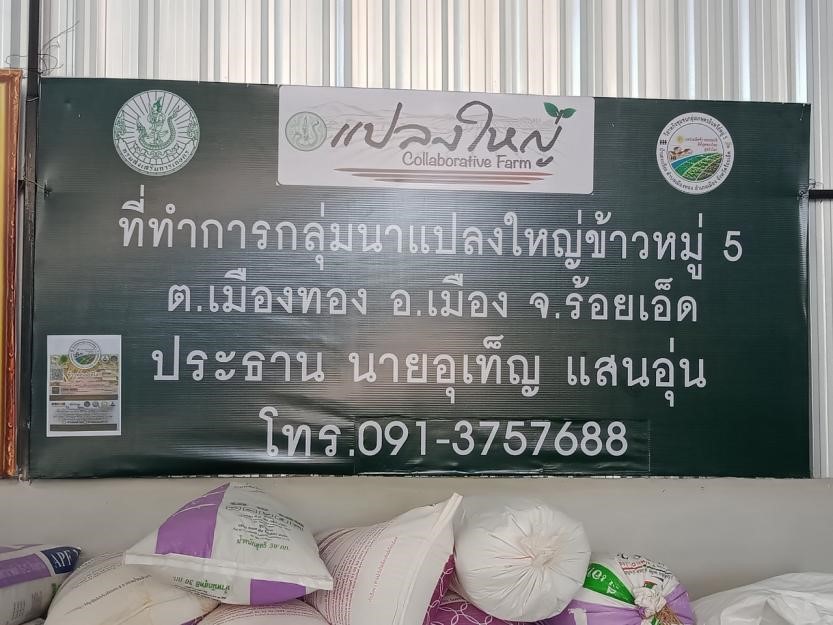 แปลงใหญ่ข้าว 3
