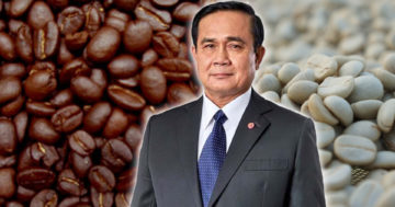 กาแฟไทย3