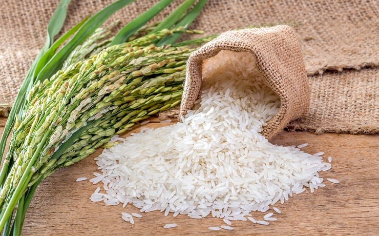 พาณิชย์ เผย 3 ปี ไทยพัฒนาพันธุ์ข้าวใหม่ได้แล้ว 21 สายพันธุ์ มั่นใจหนุนส่งออก 3 ข้าว 10