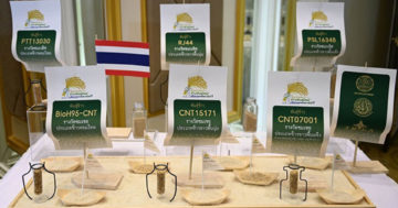 ข้าวไทย3