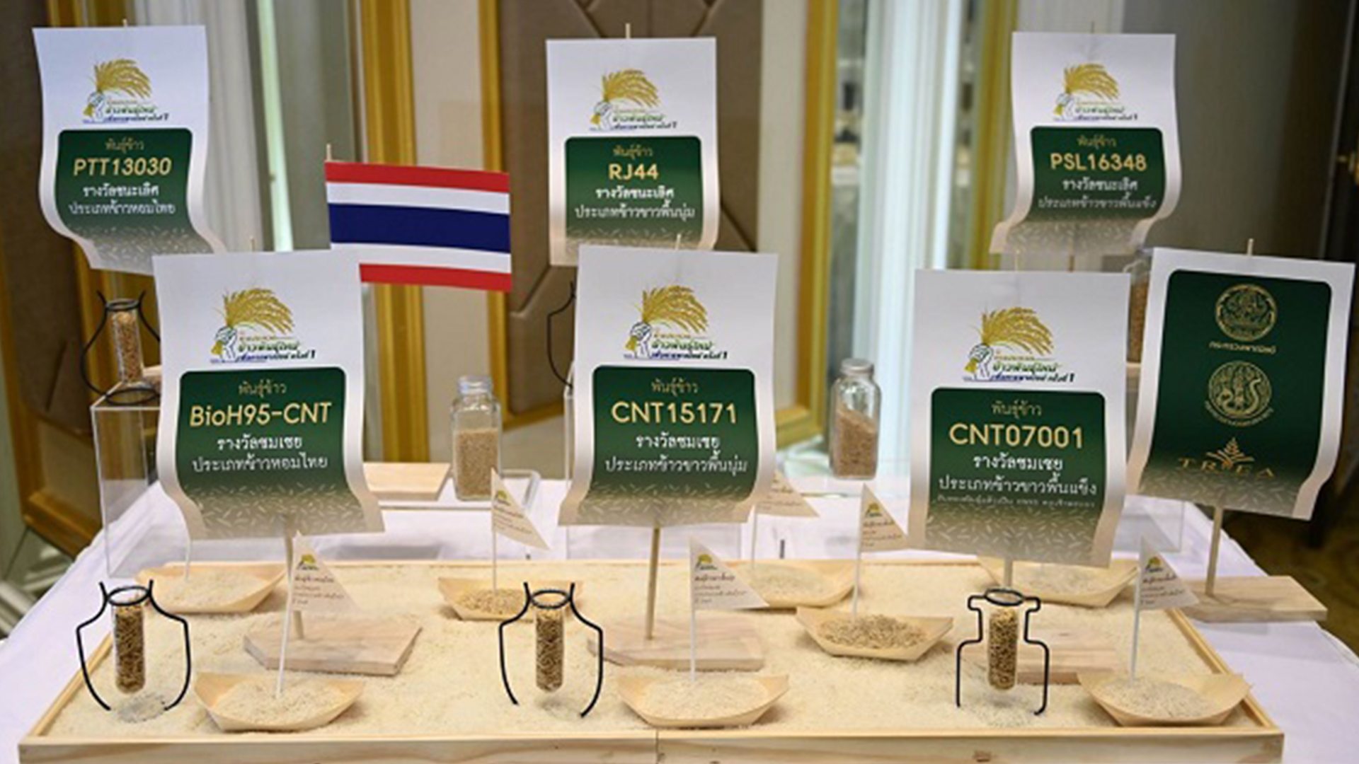 พาณิชย์ เผย 3 ปี ไทยพัฒนาพันธุ์ข้าวใหม่ได้แล้ว 21 สายพันธุ์ มั่นใจหนุนส่งออก 1 ข้าวไทย3