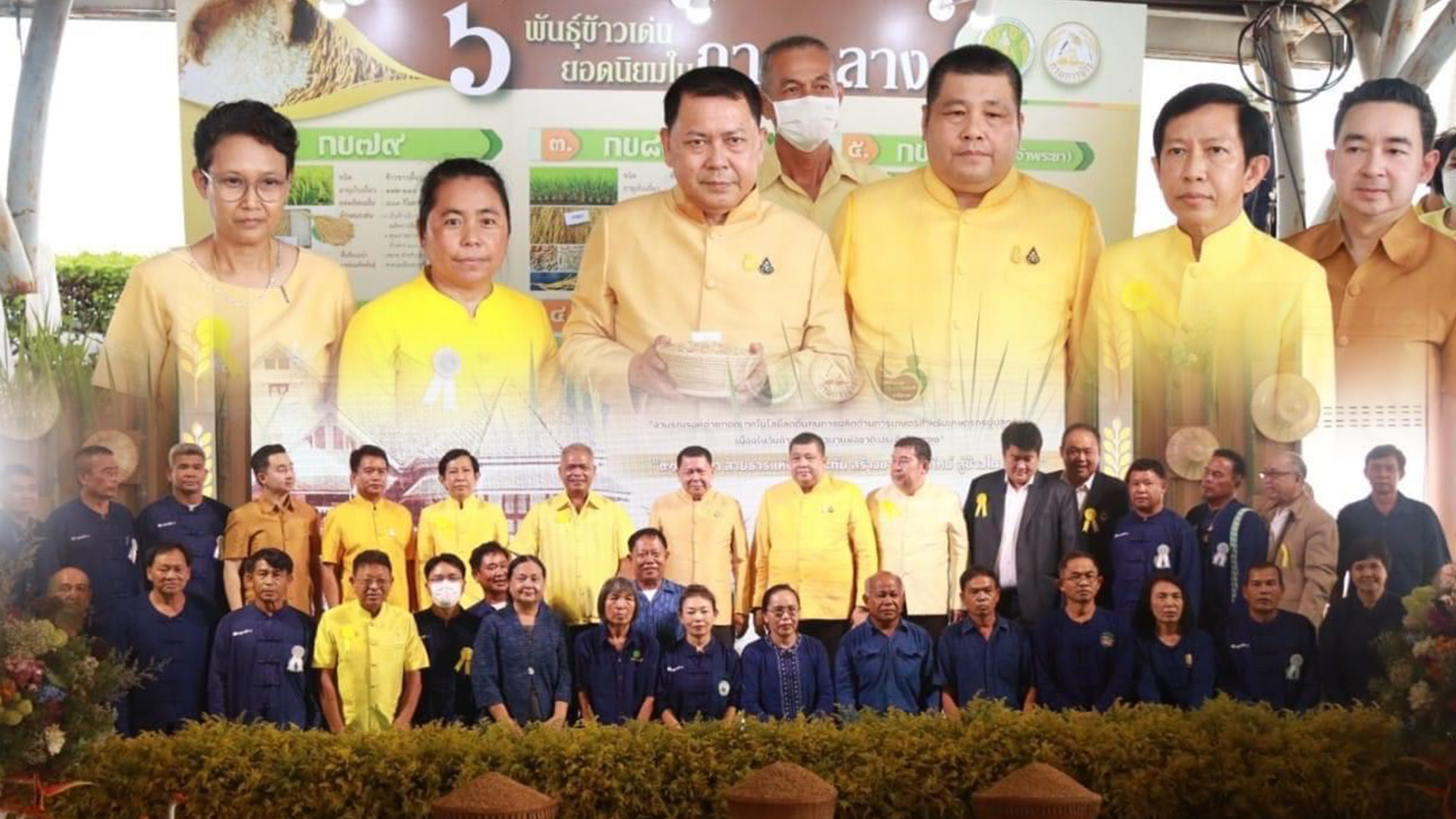 งานวันข้าว3