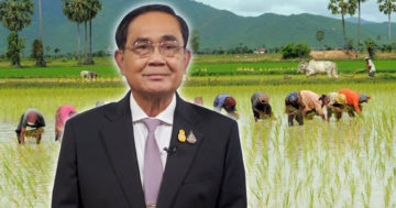 ชาวนาไทย3