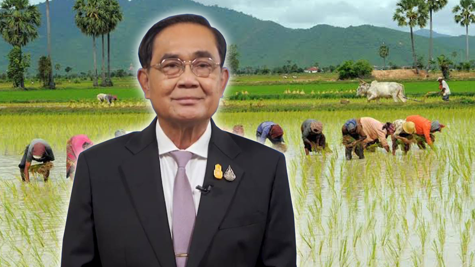ชาวนาไทย3