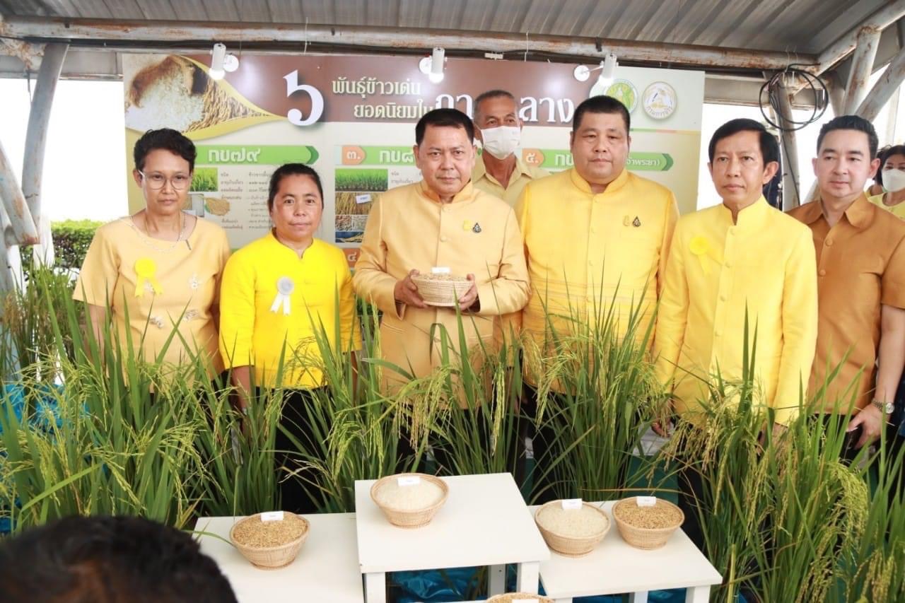 ปลัด 2