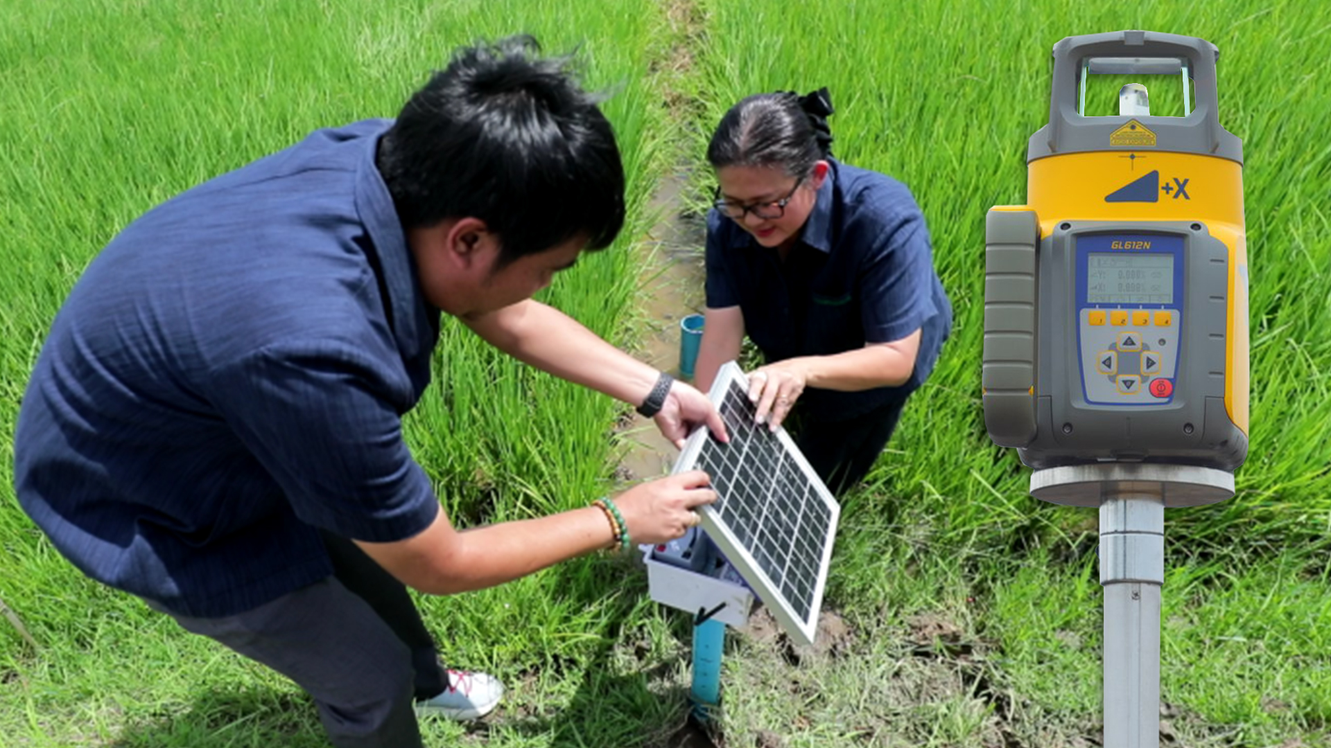 กรมข้าว ชวนชาวนาปลูกข้าวแบบเปียกสลับแห้ง ส่งเสริมขายคาร์บอนเครดิต สร้างรายได้ทางเลือก 1 ปลูกข้าว3